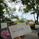 제주 카멜리아힐 6월 수국 명소 입장료 제주투어패스 후기