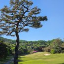 [골프] 정말 구름과 같이 라운딩하는 느낌으로, 최상의 코스를 자랑하는 티클라우드CC 후기