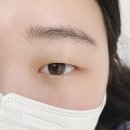 슈브로우디자인 | [샵뷰/야탑] 분당속눈썹 ‘슈브로우’에서 LU컬 속눈썹펌으로 또렷해진 눈매👀