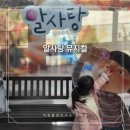 뮤지컬 알사탕 | 부산 알사탕 뮤지컬 관람 후기 - 금정문화회관 금빛누리홀