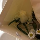 제주꽃집 '폴플라워' 부케 제주24시꽃집 솔직후기 제주 졸업꽃다발
