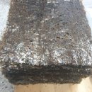 고금5호 이미지