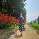 향기다이어트 성공사례 방송촬영후기