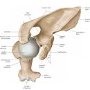 짐포레스트 방배점 이미지