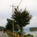 춘천순환로 이미지