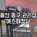 광PC방 - 영암군 | [울산 동구 관리] 트라이엄 나비존 모공케어 후기