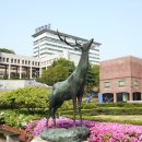 상명전기 이미지