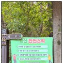 [충남/천안] 태조산 등산 후기(주차요금, 소요시간)