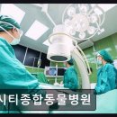 시티종합동물병원