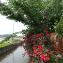 이상농장 이미지