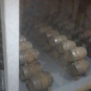 예산-47 | 예산사과와인 페스티벌 / 추사40 추사47 구매후기 / 추사40 깔바도스 / 예산사과와인