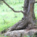 (주) 설산목장 이미지