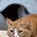 자연일기-2 이미지