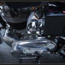 셀스타트 이미지