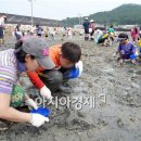 [서중마을]갯벌 체험