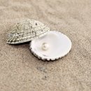 진주 - 여수시 좌수영로 16-6 | 진주