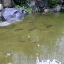 동부센트레빌부동산공인중개사사무소 이미지