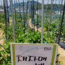 매네농장 이미지