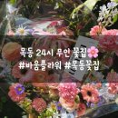 남영농장 | 목동 오목교 양천구 24시 무인 꽃집 바움플라워, 엄마 생신 꽃바구니 선물 대성공!