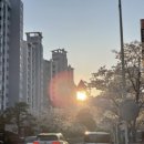 예진실업