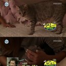 효린농장 이미지