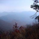 산척초 명서분교 티스토리