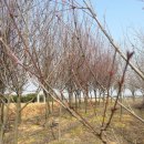 수종농장 이미지