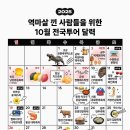 10월 전국 축제 일정 이미지