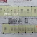 시드니하트 이미지