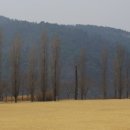 여강길(3-1코스 강천섬길) 이미지