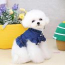 코디애견샵 이미지