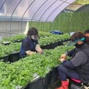 시대경로당 이미지