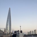 팀크레모아 이미지