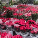 타워스프트 이미지