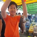 훼미리호 좌대낚시터 이미지