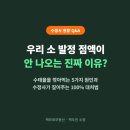 박주언 가축인공수정 | 한우 인공수정 시 발정 점액이 안 나오는 5가지 이유와 현장 대처법