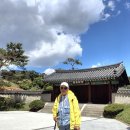 광평 Daum카페