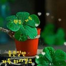 행운 - 도봉구 우이천로 196 | 행운
