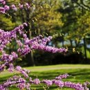 고운이치과 이미지