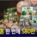 MZ호텔 이미지