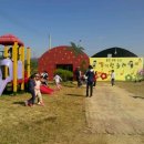 백옥농장 이미지