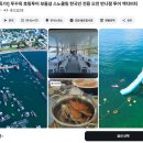 마이가이드 이미지