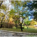 엠밸리공인중개사사무소 이미지