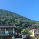 행복한나무집 이미지