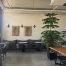 카페(cafe) 봄 이미지