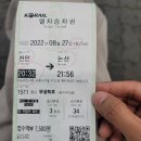 배방 유도관 | [22.08.27~28] 충남회장기 유도대회, 후기 기록.