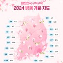 봄의향연 이미지