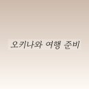 고래P.C | 오키나와 태교 여행 준비 일본 여행