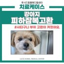 면목동물병원 이미지