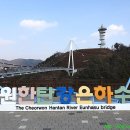용일이네